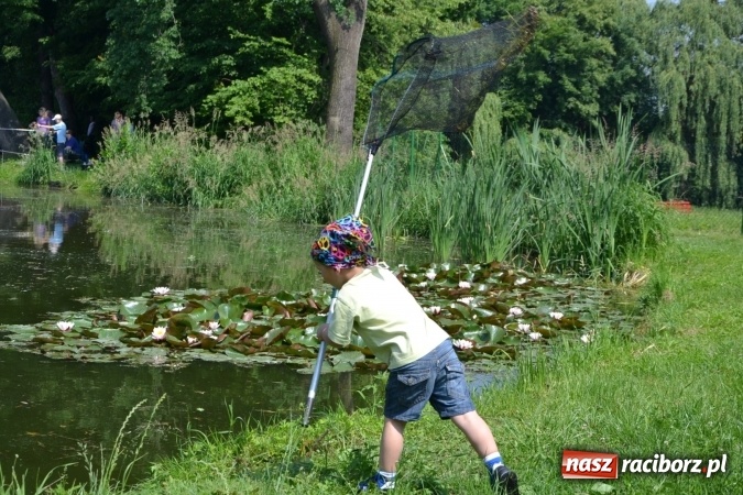 Zdjęcie w galerii na portalu naszraciborz.pl: Dzień Dziecka na Trzecioku  wiadomości z regionu