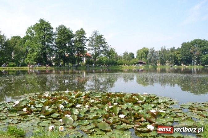 Zdjęcie w galerii na portalu naszraciborz.pl: Dzień Dziecka na Trzecioku  wiadomości z regionu