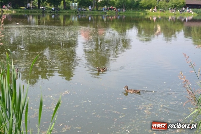 Zdjęcie w galerii na portalu naszraciborz.pl: Dzień Dziecka na Trzecioku  wiadomości z regionu