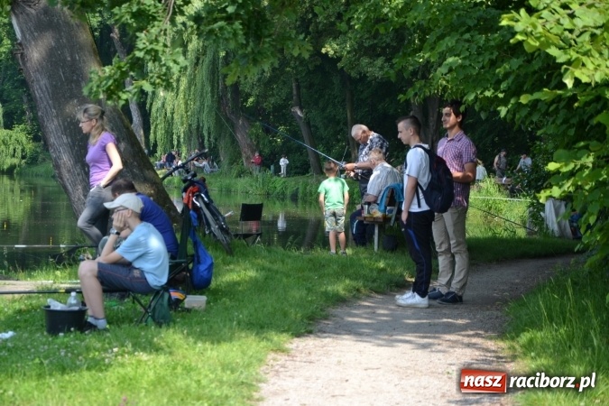 Zdjęcie w galerii na portalu naszraciborz.pl: Dzień Dziecka na Trzecioku  wiadomości z regionu
