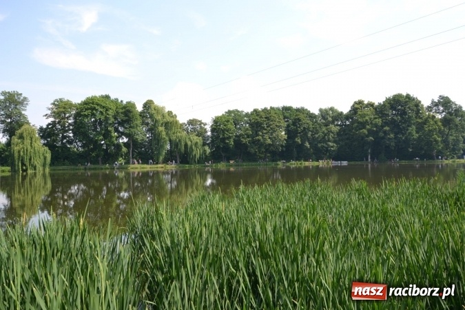 Zdjęcie w galerii na portalu naszraciborz.pl: Dzień Dziecka na Trzecioku  wiadomości z regionu