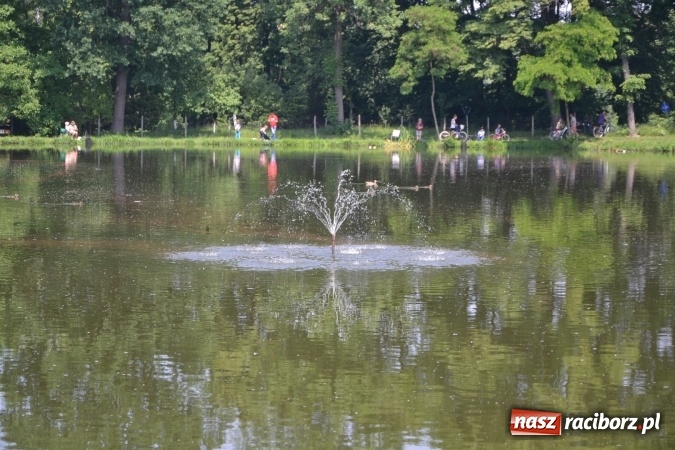 Zdjęcie w galerii na portalu naszraciborz.pl: Dzień Dziecka na Trzecioku  wiadomości z regionu