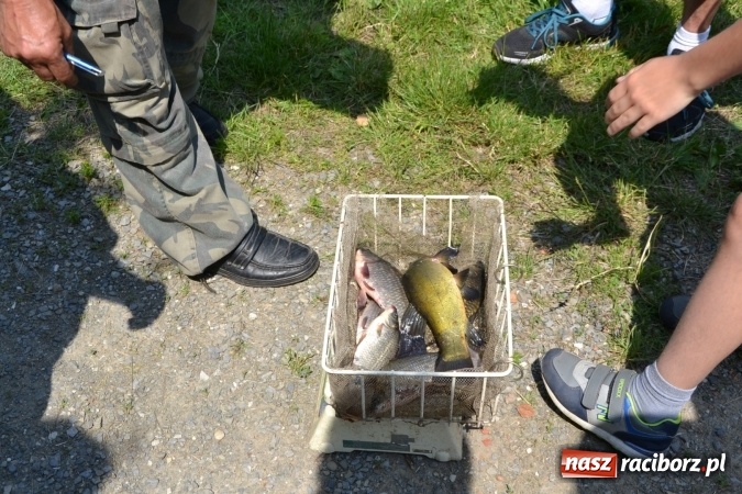 Zdjęcie w galerii na portalu naszraciborz.pl: Dzień Dziecka na Trzecioku  wiadomości z regionu