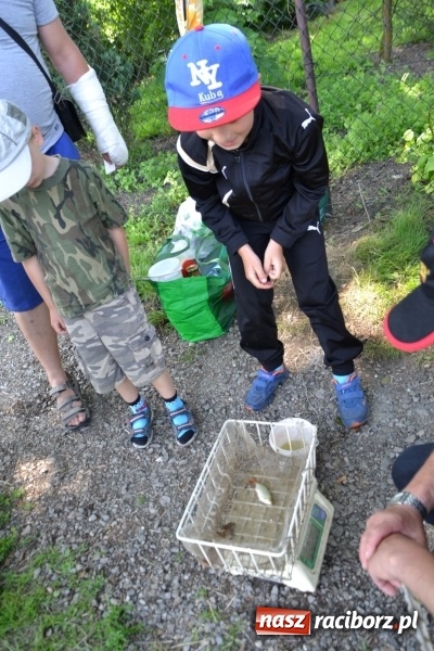 Zdjęcie w galerii na portalu naszraciborz.pl: Dzień Dziecka na Trzecioku  wiadomości z regionu