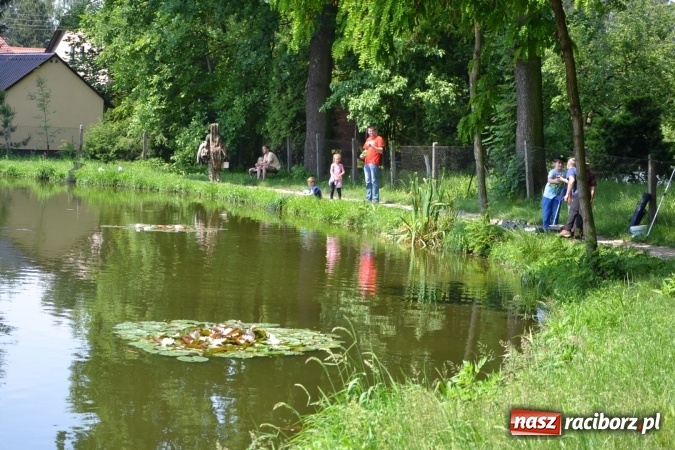 Zdjęcie w galerii na portalu naszraciborz.pl: Dzień Dziecka na Trzecioku  wiadomości z regionu