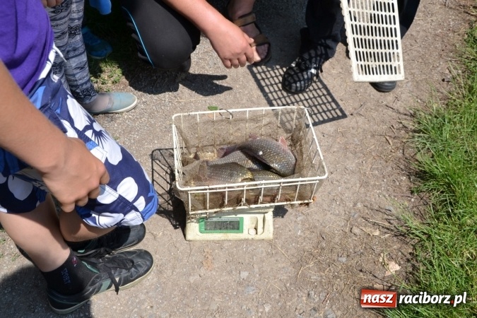 Zdjęcie w galerii na portalu naszraciborz.pl: Dzień Dziecka na Trzecioku  wiadomości z regionu