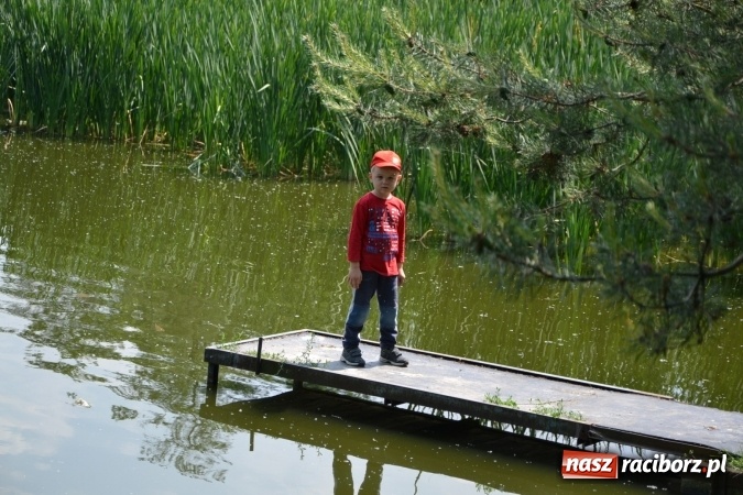 Zdjęcie w galerii na portalu naszraciborz.pl: Dzień Dziecka na Trzecioku  wiadomości z regionu