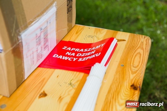 Zdjęcie w galerii na portalu naszraciborz.pl: Piknik rodzinny z Raciborskim Centrum Kultury wiadomości z regionu