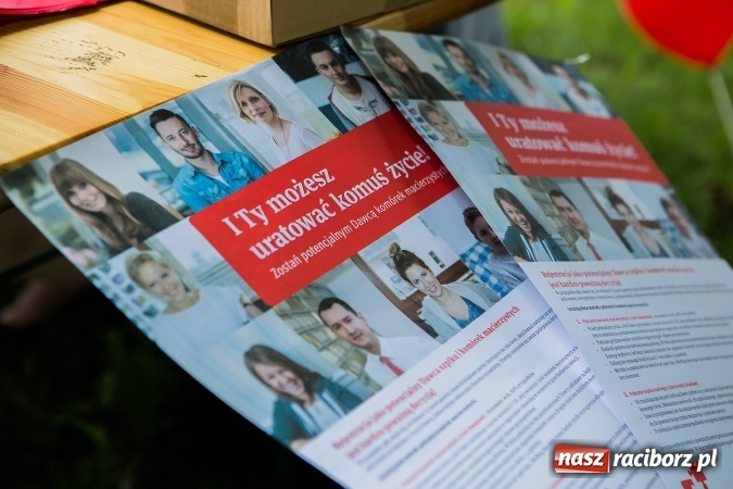 Zdjęcie w galerii na portalu naszraciborz.pl: Piknik rodzinny z Raciborskim Centrum Kultury wiadomości z regionu