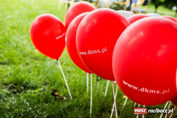 Zdjęcie w galerii na portalu naszraciborz.pl: Piknik rodzinny z Raciborskim Centrum Kultury wiadomości z regionu