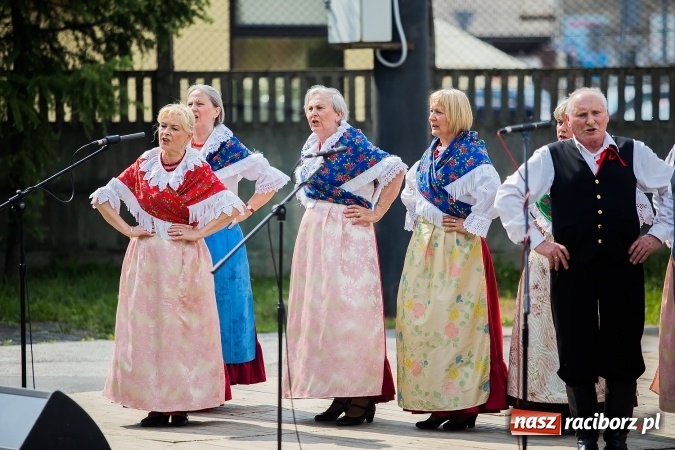 Zdjęcie w galerii na portalu naszraciborz.pl: Piknik rodzinny z Raciborskim Centrum Kultury wiadomości z regionu