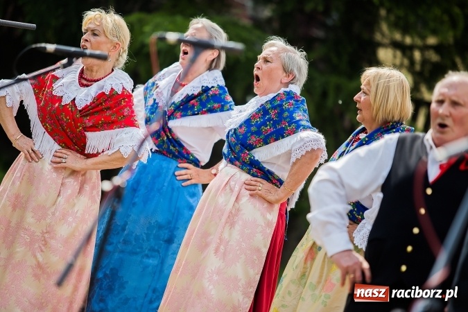 Zdjęcie w galerii na portalu naszraciborz.pl: Piknik rodzinny z Raciborskim Centrum Kultury wiadomości z regionu