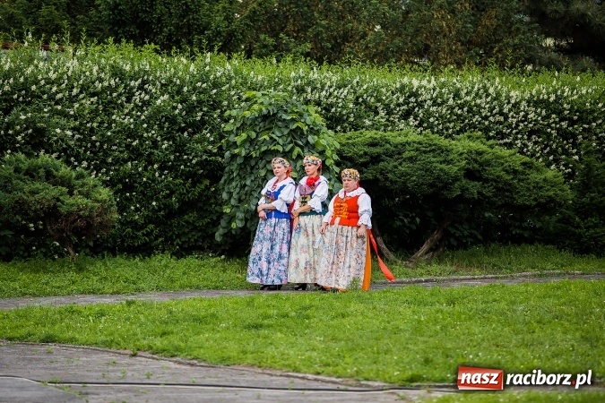 Zdjęcie w galerii na portalu naszraciborz.pl: Piknik rodzinny z Raciborskim Centrum Kultury wiadomości z regionu