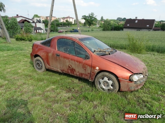 Zdjęcie w galerii na portalu naszraciborz.pl: W Rzuchowie hucznie obchodzili Dzień Dziecka wiadomości z regionu