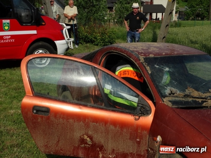 Zdjęcie w galerii na portalu naszraciborz.pl: W Rzuchowie hucznie obchodzili Dzień Dziecka wiadomości z regionu