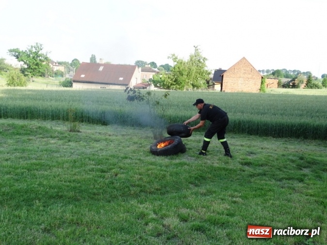 Zdjęcie w galerii na portalu naszraciborz.pl: W Rzuchowie hucznie obchodzili Dzień Dziecka wiadomości z regionu