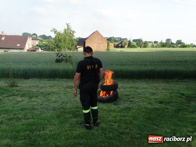 Zdjęcie w galerii na portalu naszraciborz.pl: W Rzuchowie hucznie obchodzili Dzień Dziecka wiadomości z regionu