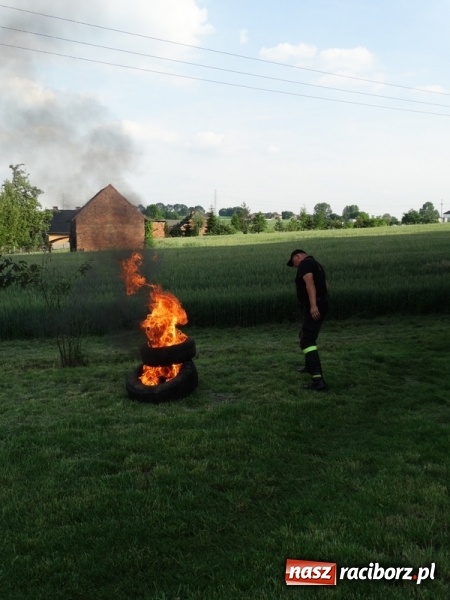 Zdjęcie w galerii na portalu naszraciborz.pl: W Rzuchowie hucznie obchodzili Dzień Dziecka wiadomości z regionu