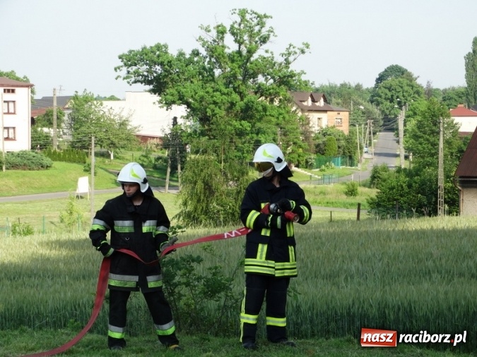 Zdjęcie w galerii na portalu naszraciborz.pl: W Rzuchowie hucznie obchodzili Dzień Dziecka wiadomości z regionu