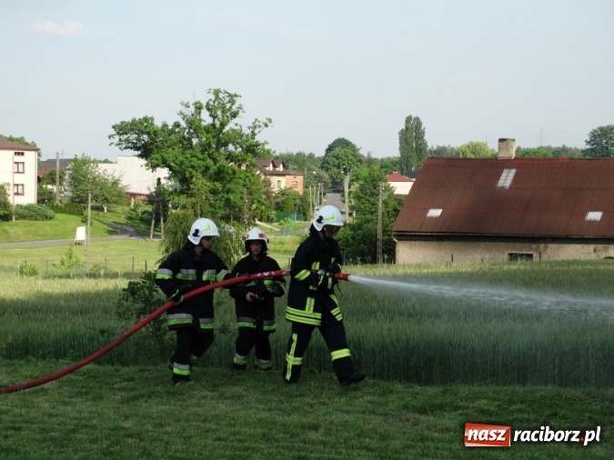 Zdjęcie w galerii na portalu naszraciborz.pl: W Rzuchowie hucznie obchodzili Dzień Dziecka wiadomości z regionu