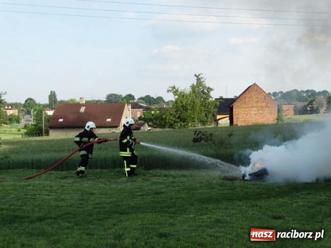 Zdjęcie w galerii na portalu naszraciborz.pl: W Rzuchowie hucznie obchodzili Dzień Dziecka wiadomości z regionu