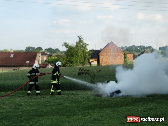 Zdjęcie w galerii na portalu naszraciborz.pl: W Rzuchowie hucznie obchodzili Dzień Dziecka wiadomości z regionu