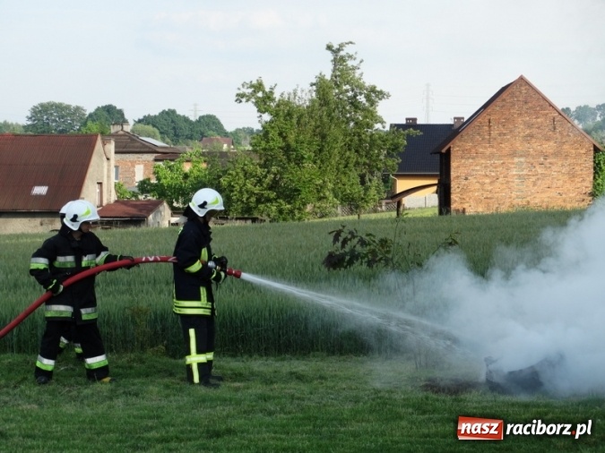 Zdjęcie w galerii na portalu naszraciborz.pl: W Rzuchowie hucznie obchodzili Dzień Dziecka wiadomości z regionu