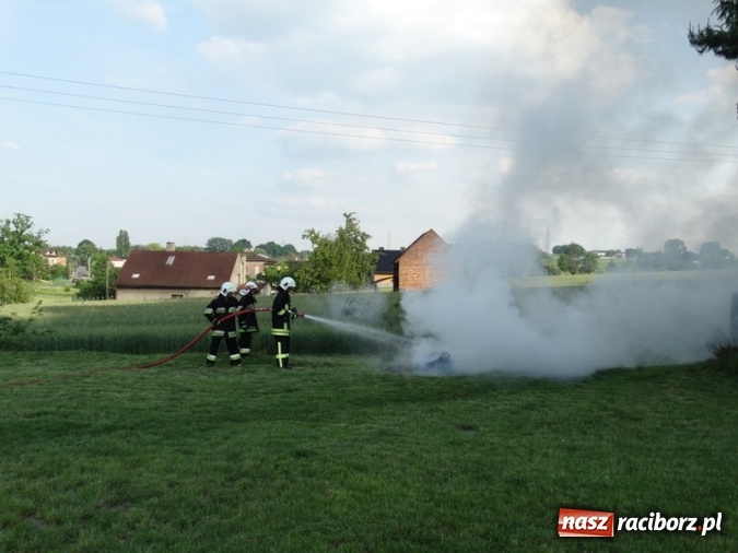 Zdjęcie w galerii na portalu naszraciborz.pl: W Rzuchowie hucznie obchodzili Dzień Dziecka wiadomości z regionu