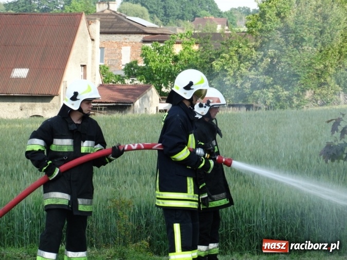 Zdjęcie w galerii na portalu naszraciborz.pl: W Rzuchowie hucznie obchodzili Dzień Dziecka wiadomości z regionu