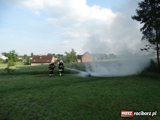 Zdjęcie w galerii na portalu naszraciborz.pl: W Rzuchowie hucznie obchodzili Dzień Dziecka wiadomości z regionu