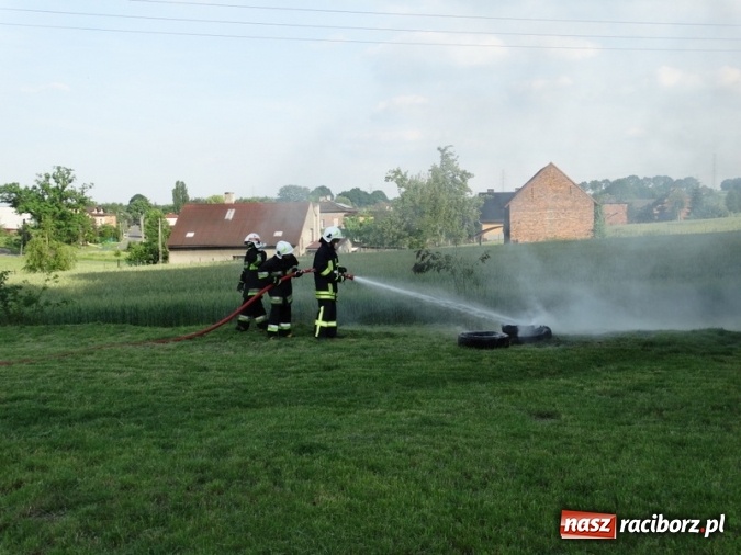 Zdjęcie w galerii na portalu naszraciborz.pl: W Rzuchowie hucznie obchodzili Dzień Dziecka wiadomości z regionu