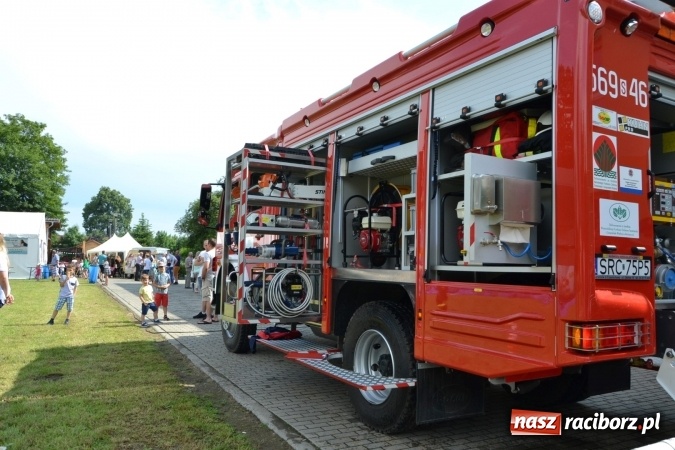 Zdjęcie w galerii na portalu naszraciborz.pl: Król, Królowa, intryg skutki i niesforne krasnoludki wiadomości z regionu