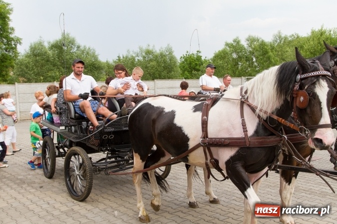 Zdjęcie w galerii na portalu naszraciborz.pl: Tak się bawią w gminie Pietrowice Wielkie wiadomości z regionu