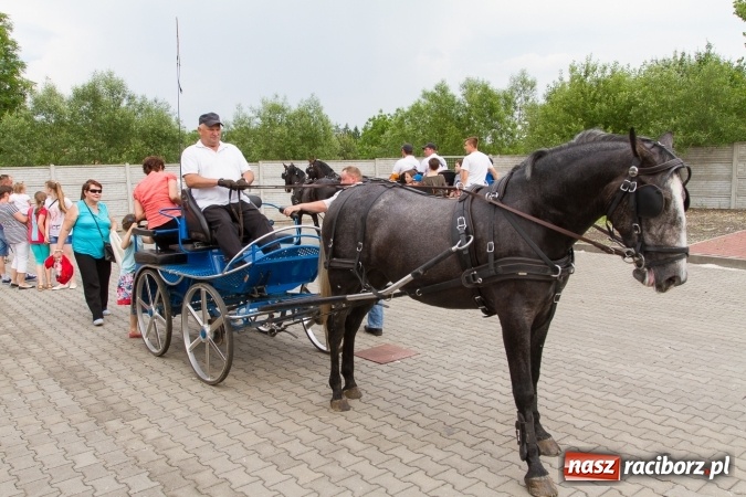 Zdjęcie w galerii na portalu naszraciborz.pl: Tak się bawią w gminie Pietrowice Wielkie wiadomości z regionu