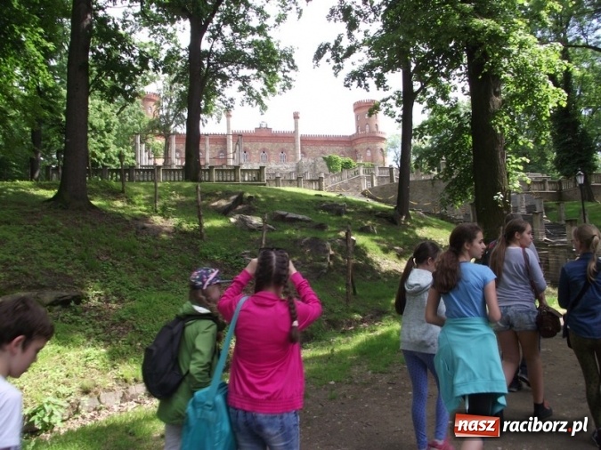 Zdjęcie w galerii na portalu naszraciborz.pl: Uczniom Szkoły Podstawowej nr 4 niestraszne szczyty górskie   wiadomości z regionu