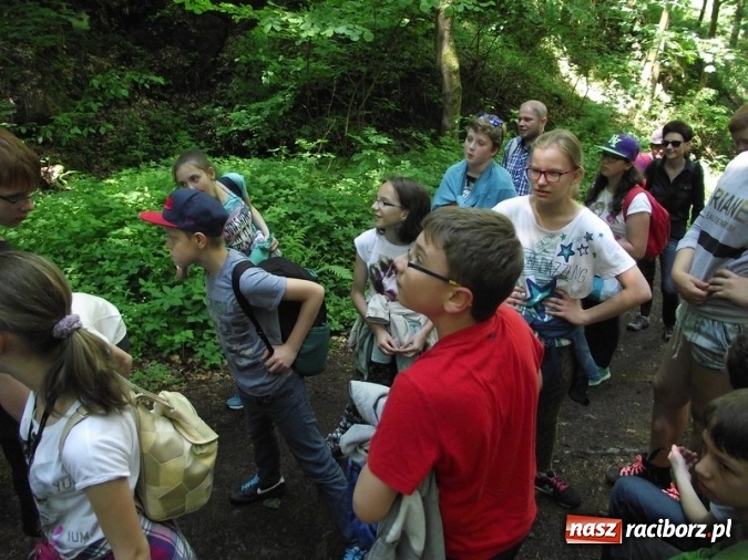 Zdjęcie w galerii na portalu naszraciborz.pl: Uczniom Szkoły Podstawowej nr 4 niestraszne szczyty górskie   wiadomości z regionu