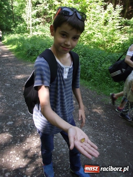 Zdjęcie w galerii na portalu naszraciborz.pl: Uczniom Szkoły Podstawowej nr 4 niestraszne szczyty górskie   wiadomości z regionu