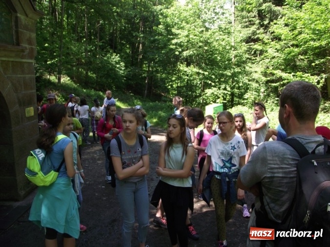 Zdjęcie w galerii na portalu naszraciborz.pl: Uczniom Szkoły Podstawowej nr 4 niestraszne szczyty górskie   wiadomości z regionu