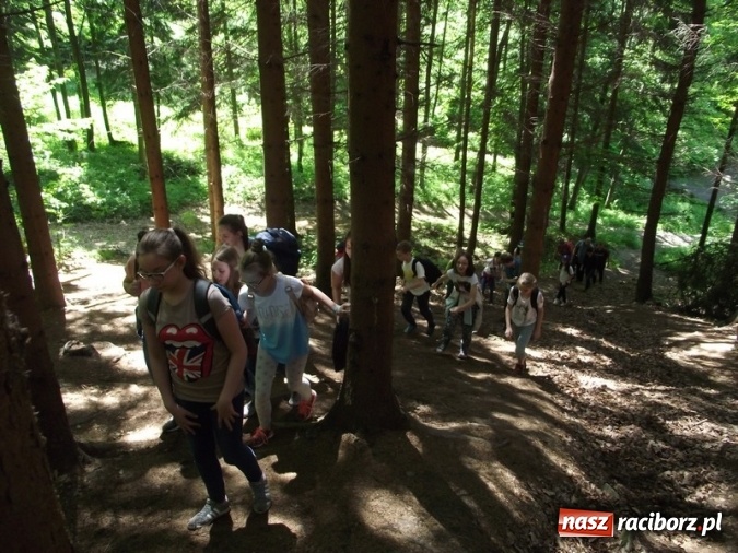 Zdjęcie w galerii na portalu naszraciborz.pl: Uczniom Szkoły Podstawowej nr 4 niestraszne szczyty górskie   wiadomości z regionu