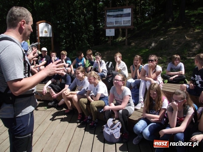 Zdjęcie w galerii na portalu naszraciborz.pl: Uczniom Szkoły Podstawowej nr 4 niestraszne szczyty górskie   wiadomości z regionu