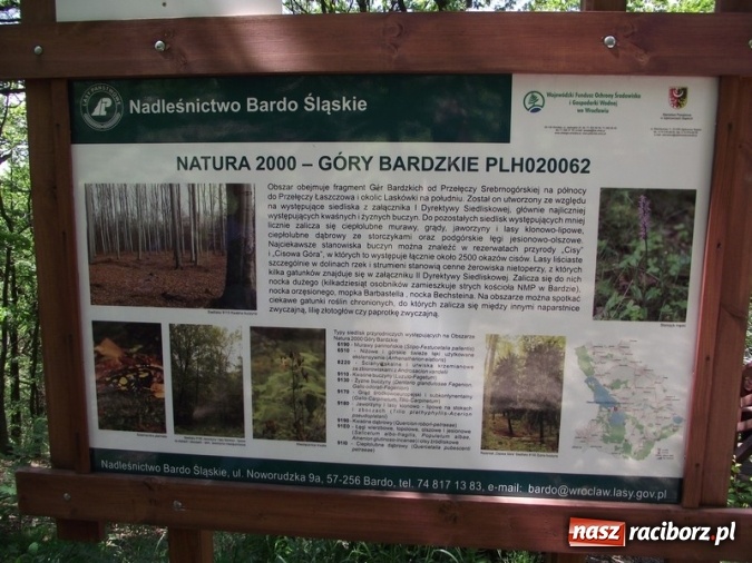 Zdjęcie w galerii na portalu naszraciborz.pl: Uczniom Szkoły Podstawowej nr 4 niestraszne szczyty górskie   wiadomości z regionu