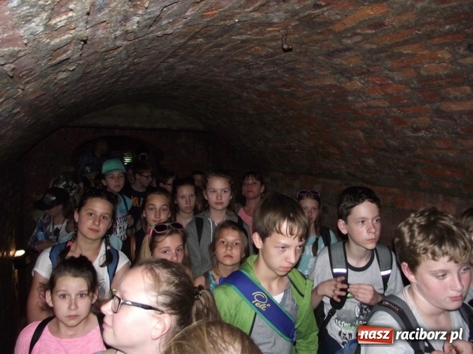 Zdjęcie w galerii na portalu naszraciborz.pl: Uczniom Szkoły Podstawowej nr 4 niestraszne szczyty górskie   wiadomości z regionu