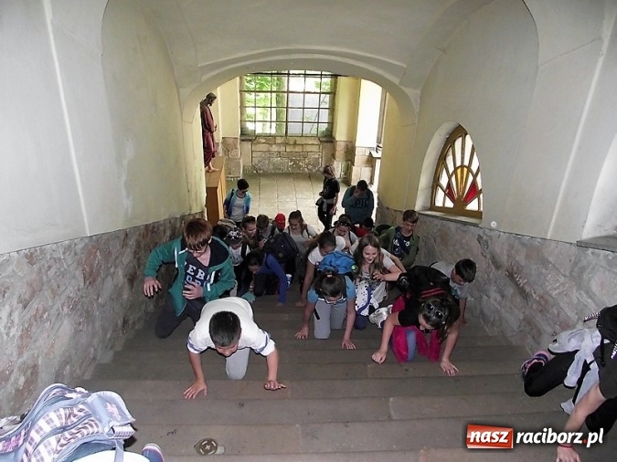 Zdjęcie w galerii na portalu naszraciborz.pl: Uczniom Szkoły Podstawowej nr 4 niestraszne szczyty górskie   wiadomości z regionu