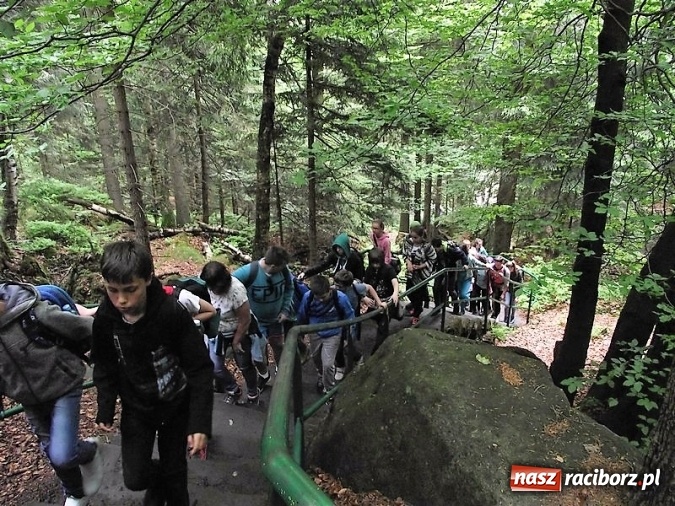 Zdjęcie w galerii na portalu naszraciborz.pl: Uczniom Szkoły Podstawowej nr 4 niestraszne szczyty górskie   wiadomości z regionu