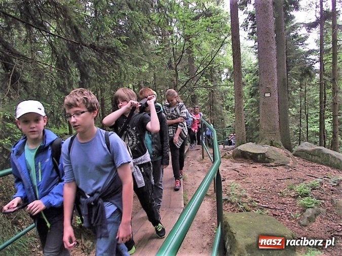 Zdjęcie w galerii na portalu naszraciborz.pl: Uczniom Szkoły Podstawowej nr 4 niestraszne szczyty górskie   wiadomości z regionu