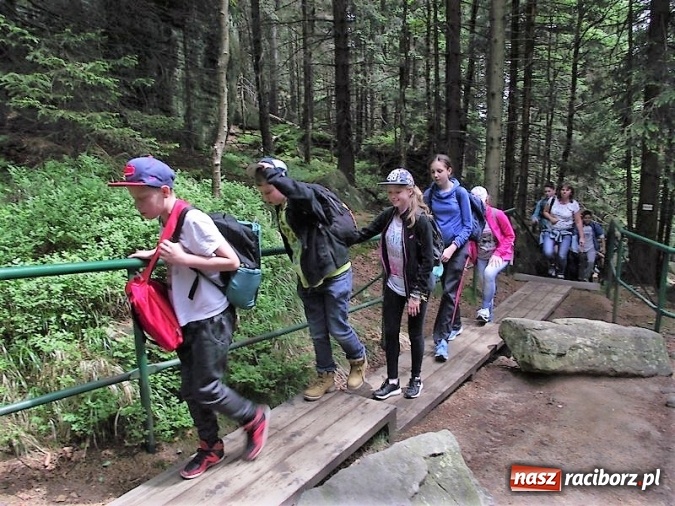 Zdjęcie w galerii na portalu naszraciborz.pl: Uczniom Szkoły Podstawowej nr 4 niestraszne szczyty górskie   wiadomości z regionu