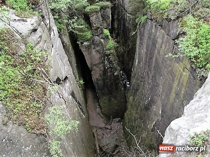 Zdjęcie w galerii na portalu naszraciborz.pl: Uczniom Szkoły Podstawowej nr 4 niestraszne szczyty górskie   wiadomości z regionu