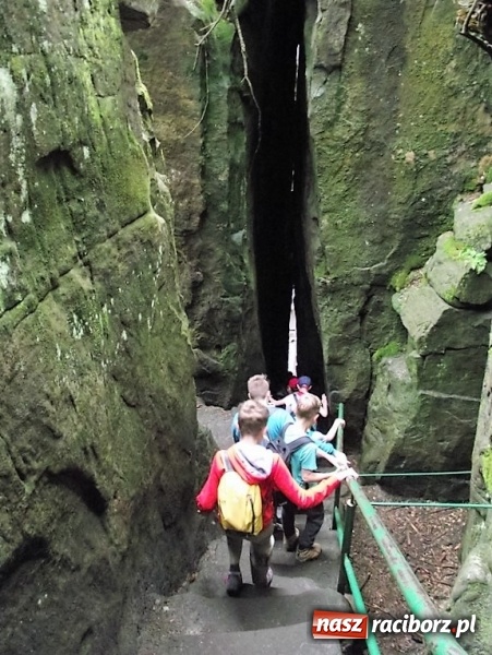 Zdjęcie w galerii na portalu naszraciborz.pl: Uczniom Szkoły Podstawowej nr 4 niestraszne szczyty górskie   wiadomości z regionu