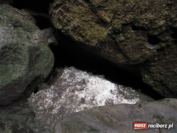 Zdjęcie w galerii na portalu naszraciborz.pl: Uczniom Szkoły Podstawowej nr 4 niestraszne szczyty górskie   wiadomości z regionu