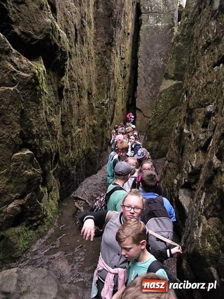 Zdjęcie w galerii na portalu naszraciborz.pl: Uczniom Szkoły Podstawowej nr 4 niestraszne szczyty górskie   wiadomości z regionu